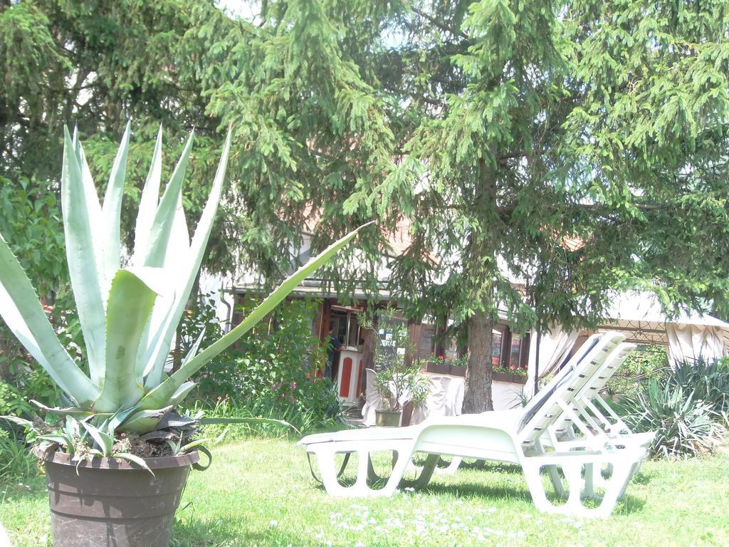 Hotel Viktoria Balatonalmadi Exterior photo